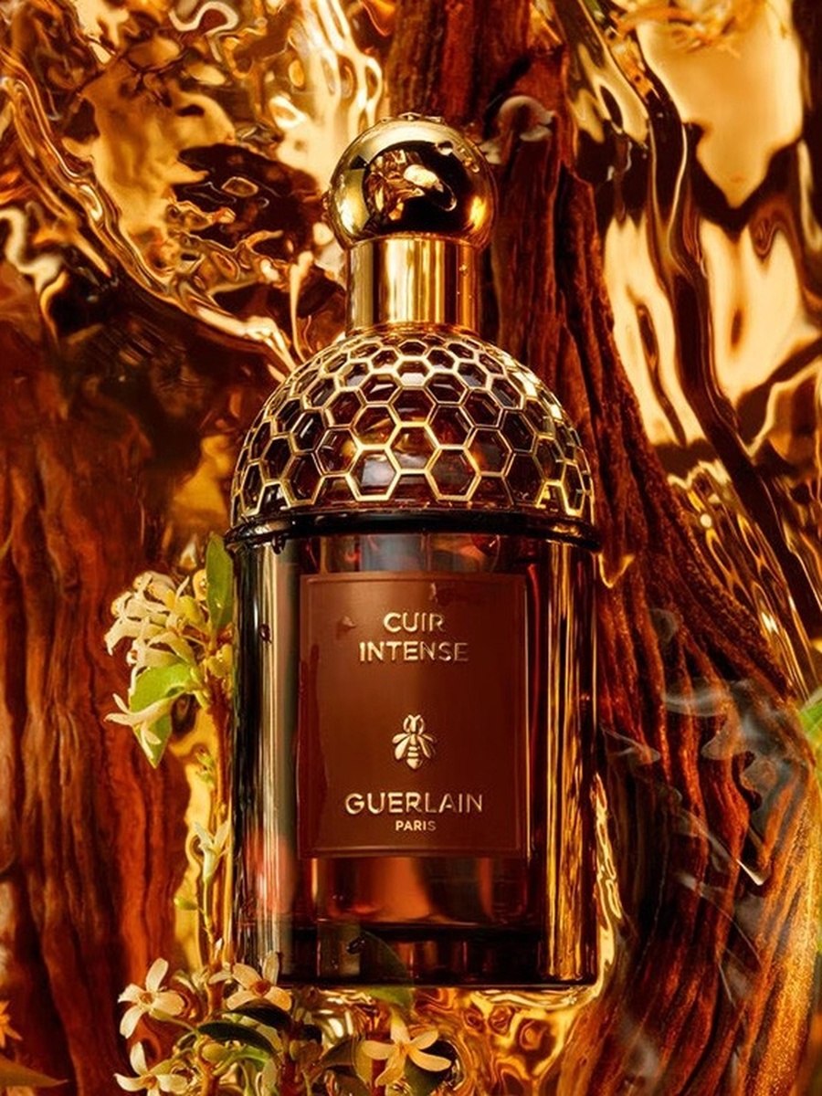 عطر أبسولوس أليغوريا كير إنتنس أو دي بارفان - 125 مل
