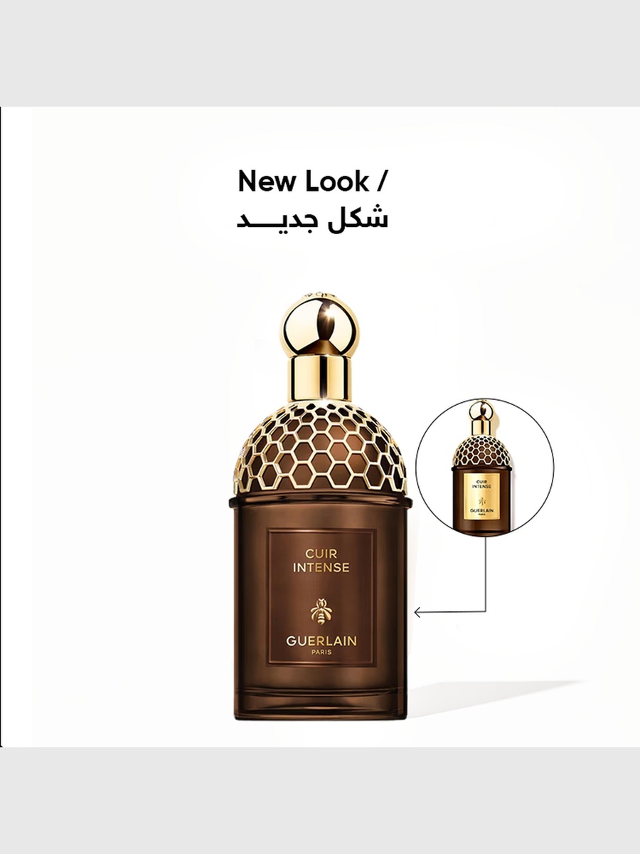 عطر أبسولوس أليغوريا كير إنتنس أو دي بارفان - 125 مل
