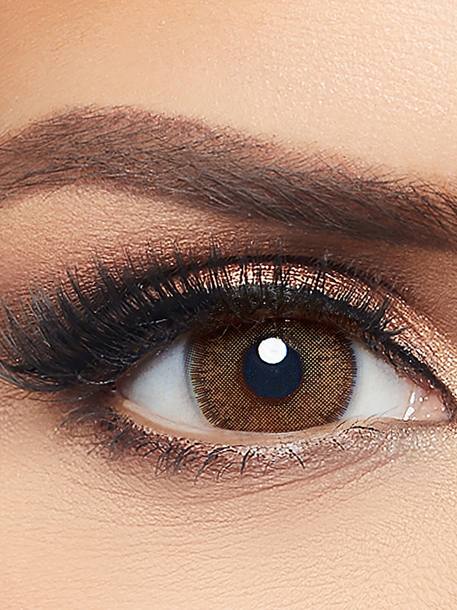 Pack of 2 Chocolate Brown Lens