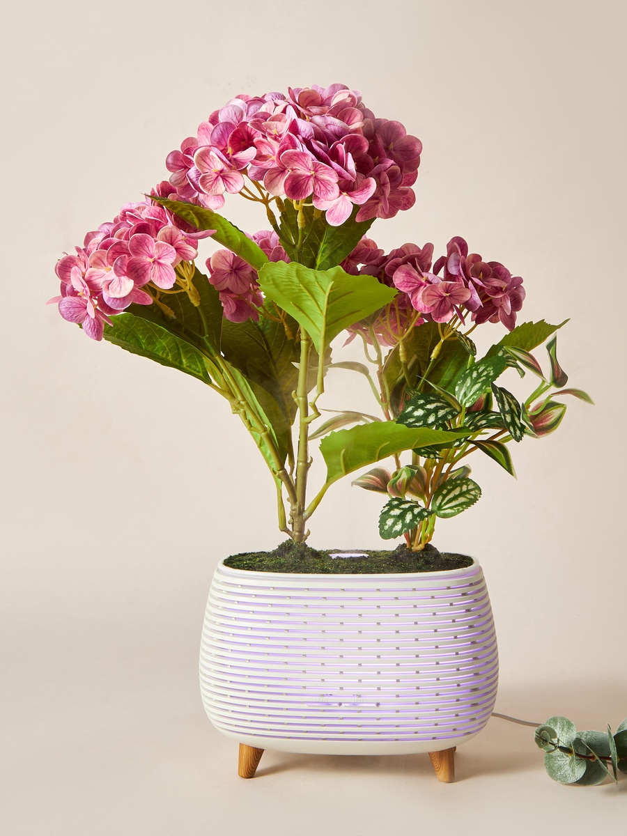 Hydressa Botanical Aroma Diffuser
