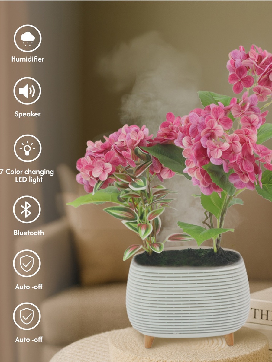 Hydressa Botanical Aroma Diffuser