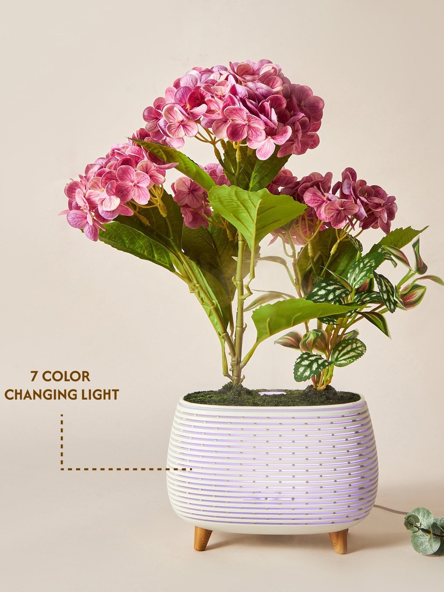 Hydressa Botanical Aroma Diffuser
