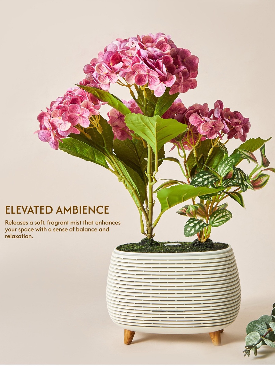 Hydressa Botanical Aroma Diffuser