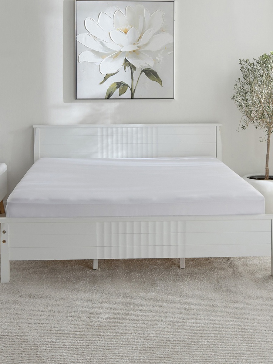 Opulent Luxe Cotton Solid Super King Fitted Sheet - 200x200+40 cm