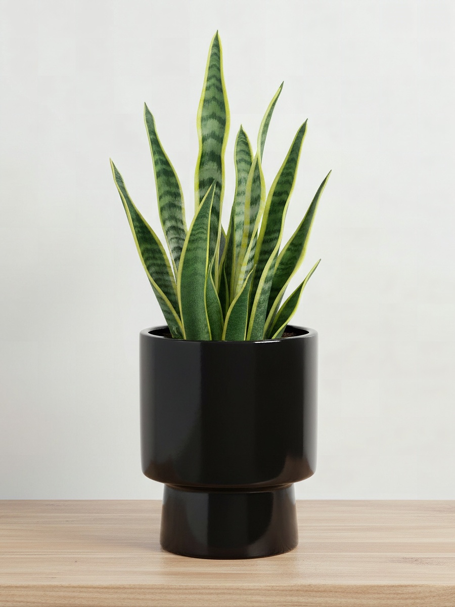 إناء زرع سيراميك - 15*15*19 سم