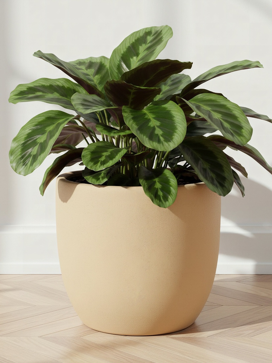 Sansa Siera Large Ceramic Planter - 32x32x29 cm
