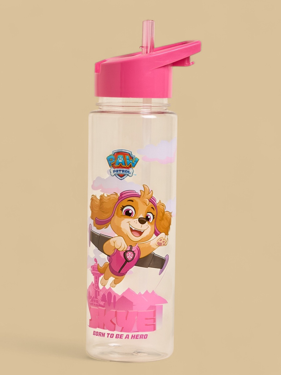 PAW Patrol Skye Print Water Bottle
