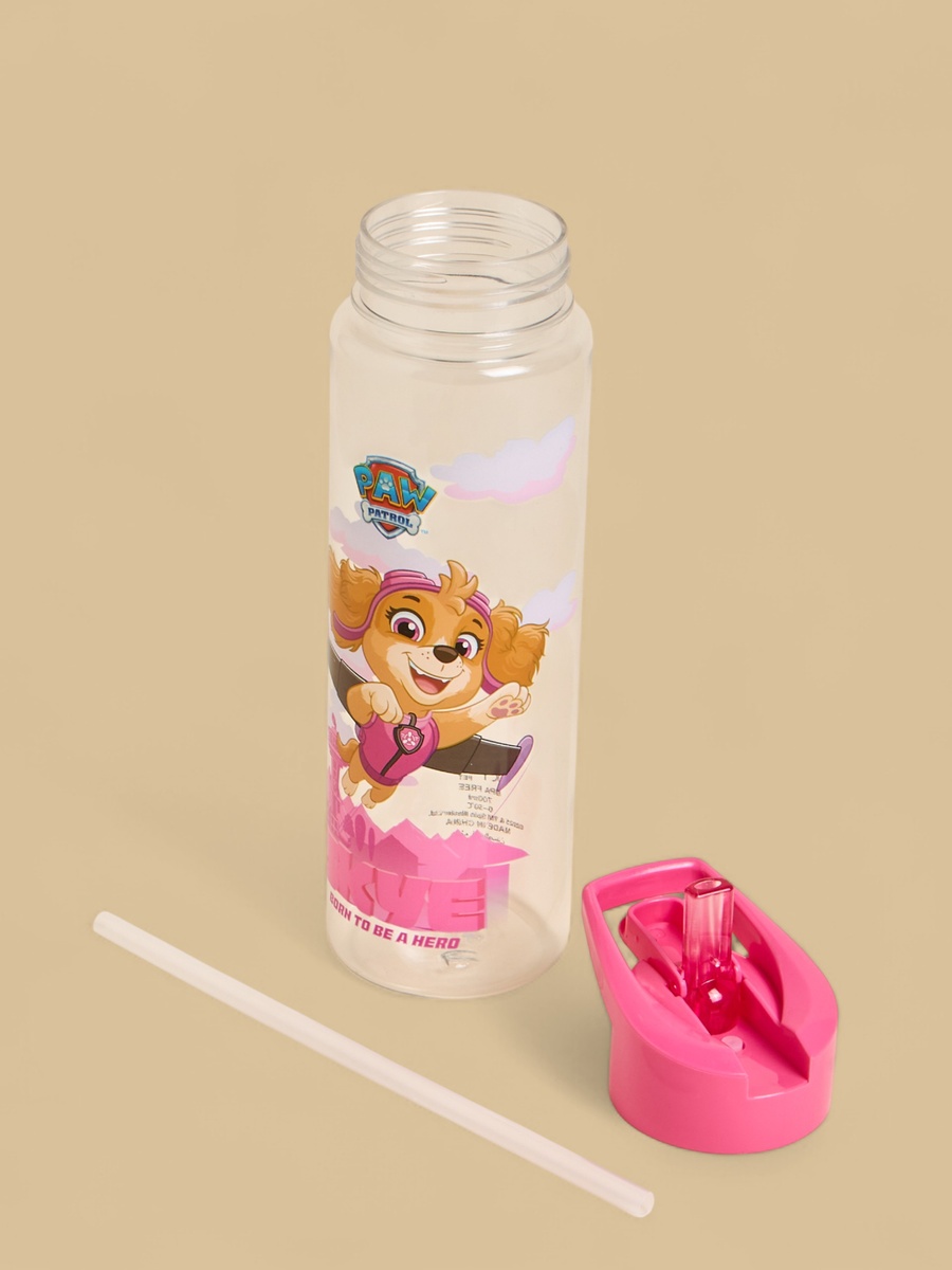 PAW Patrol Skye Print Water Bottle