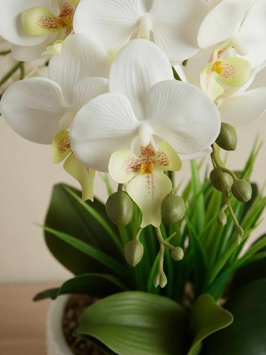 Areos Artificial Orchid Potted Plants in Ceramic Pot - 20.3x20.3x56 cm