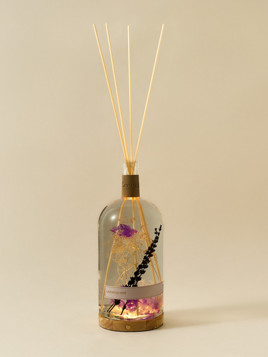 Musk Amberwood Reed Diffuser - 2.5 L