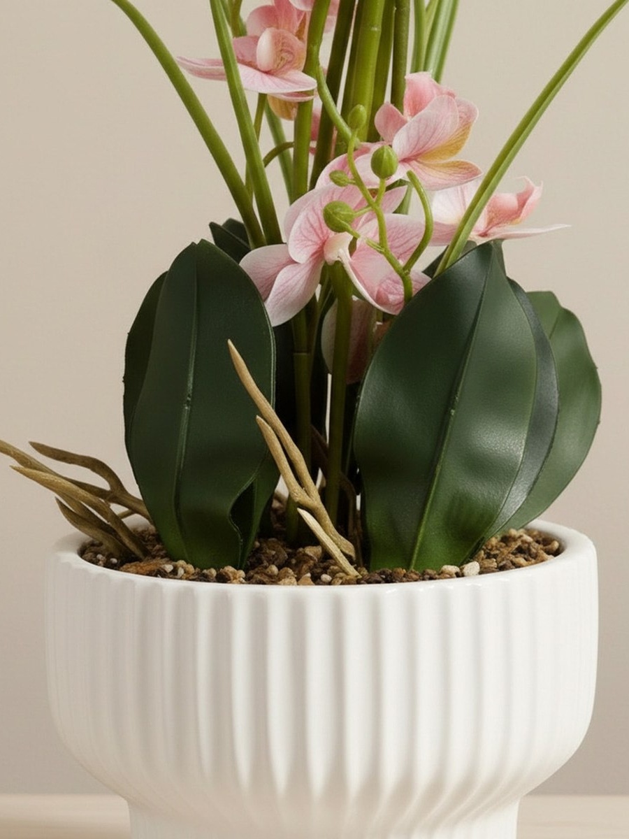 Areos Artificial Orchid Plant in Ceramic Pot - 60 cm