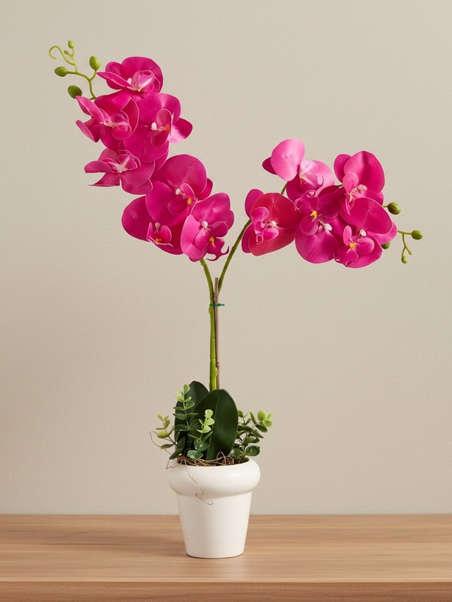 Areos Artificial Orchid Plant in Ceramic Pot - 45 cm