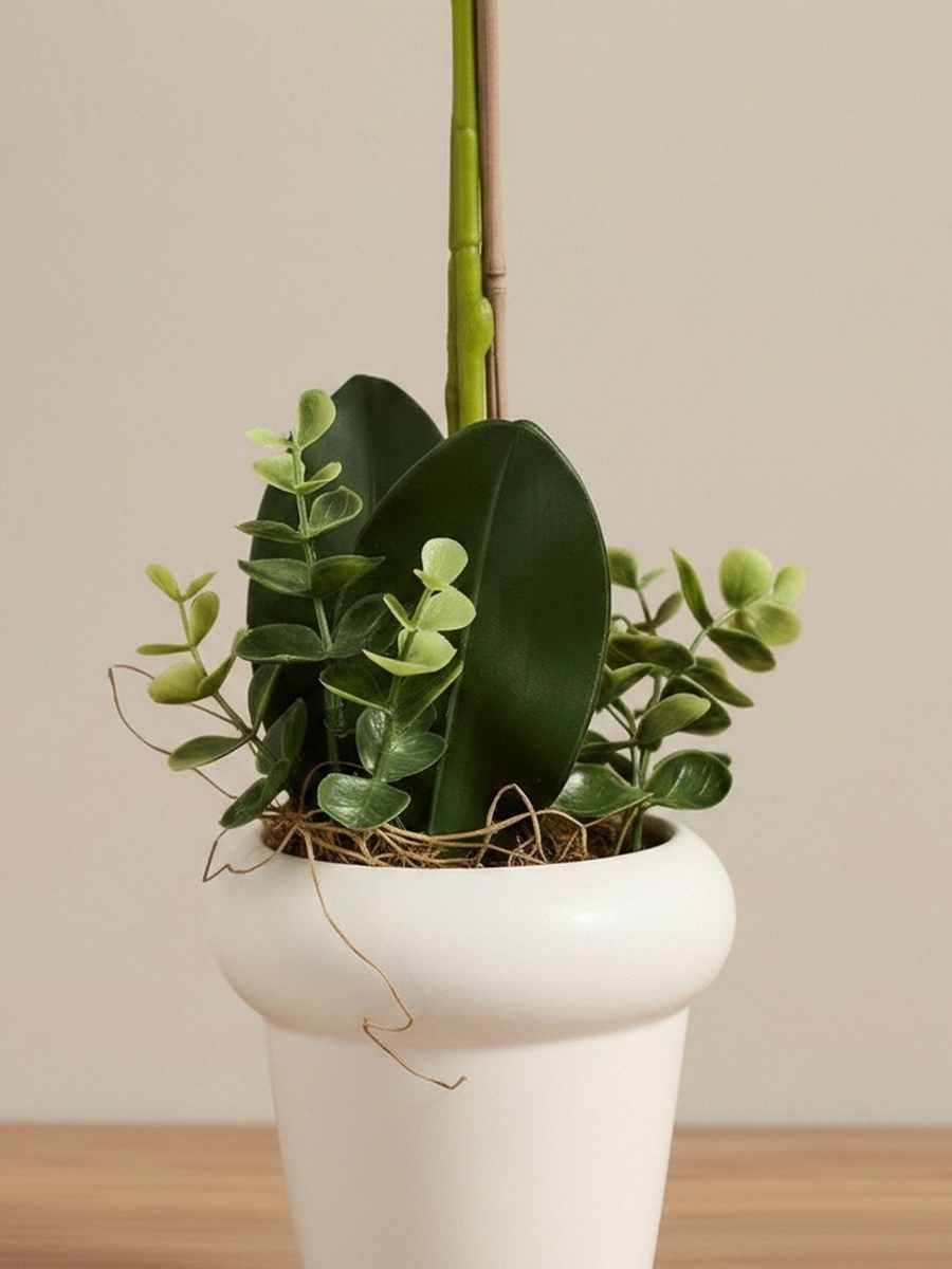 Areos Artificial Orchid Plant in Ceramic Pot - 45 cm