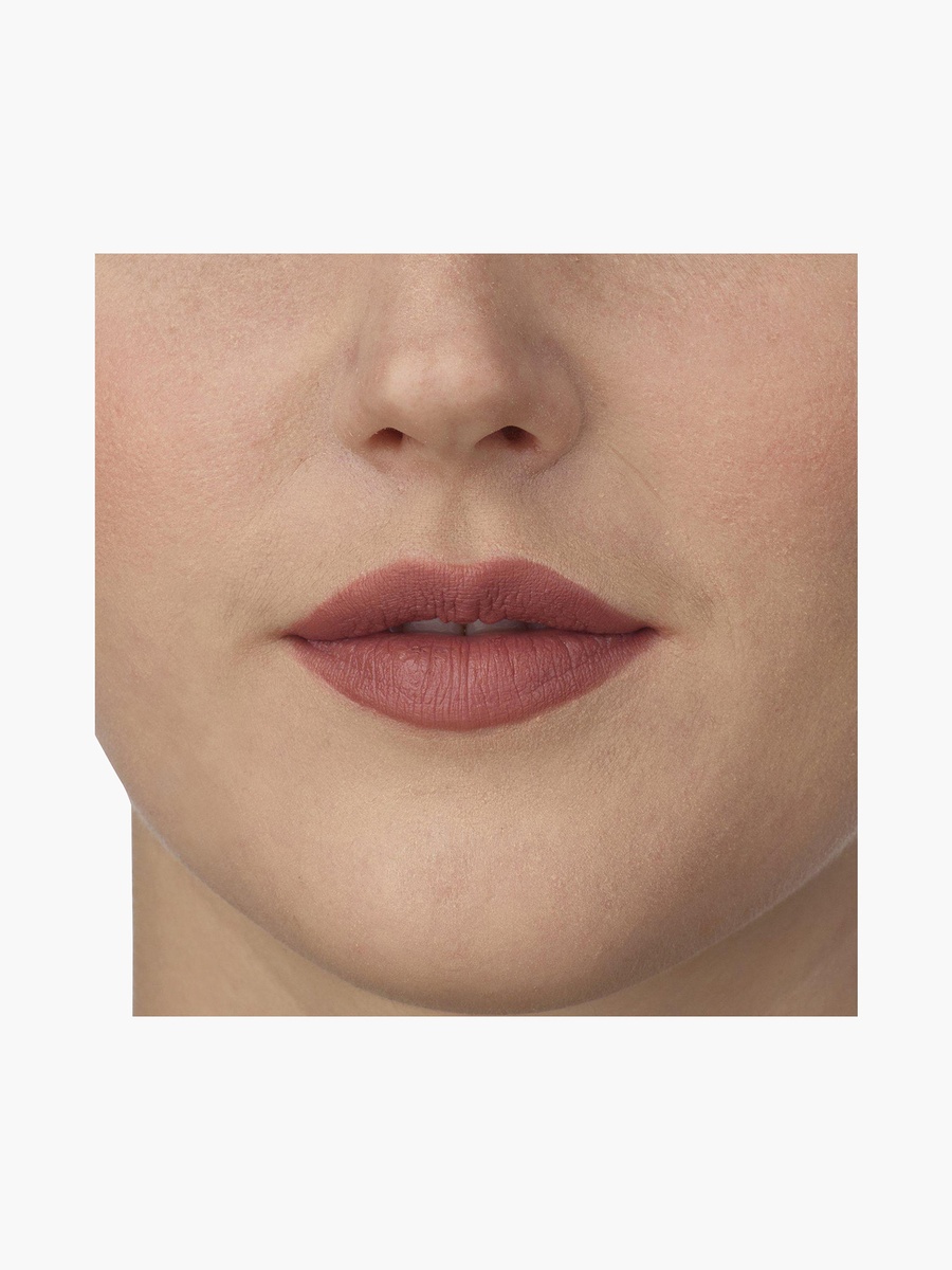 Perfect Moisture Lipstick