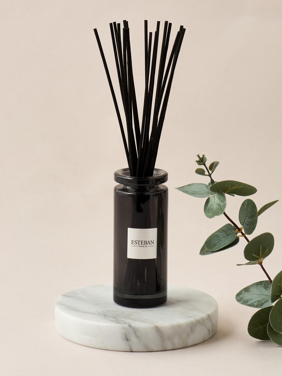 Cedre Scented Reed Diffuser Set - 100 ml