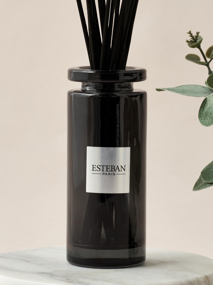 Cedre Scented Reed Diffuser Set - 100 ml