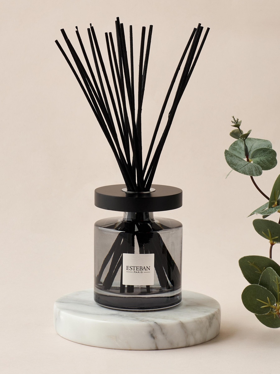 Cedre Scented Reed Diffuser Set - 200 ml