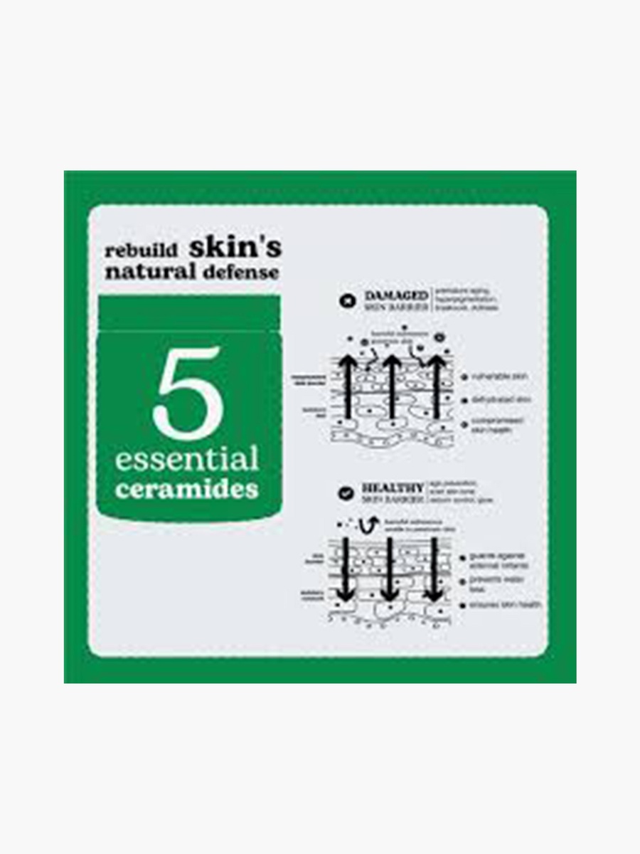 Everyone Barrier Cream - 50 ml