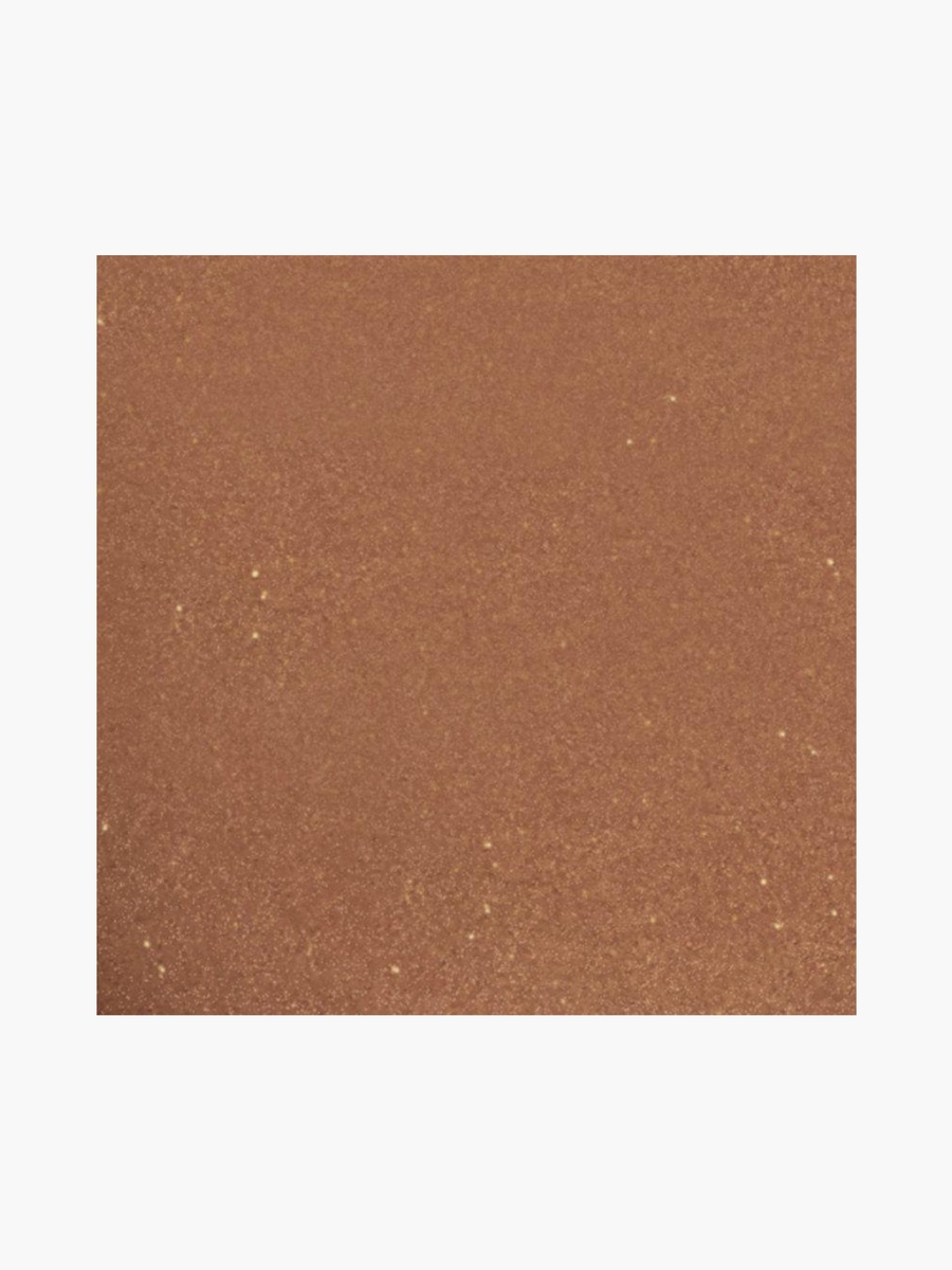 The Bronzing Compact Powder - 10 gm