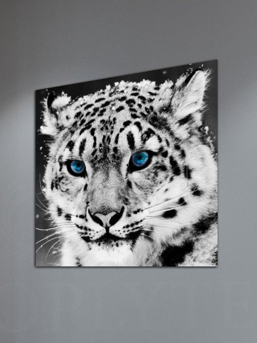 Face of a White Tiger Decorative Wall Art, 30CM x 30CM