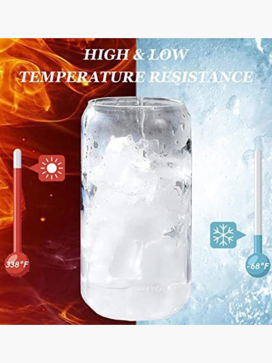 Zen 2-Piece Borosilicate Can Shaped Glass Jar with Straw and Cleaning Brush Set