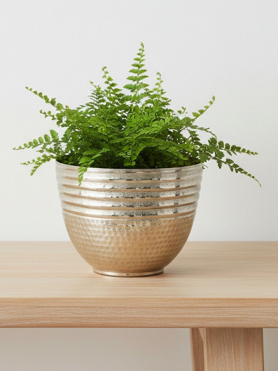 Aurum- Ausie- Elan Decorative Planter - 27x27x20 cm