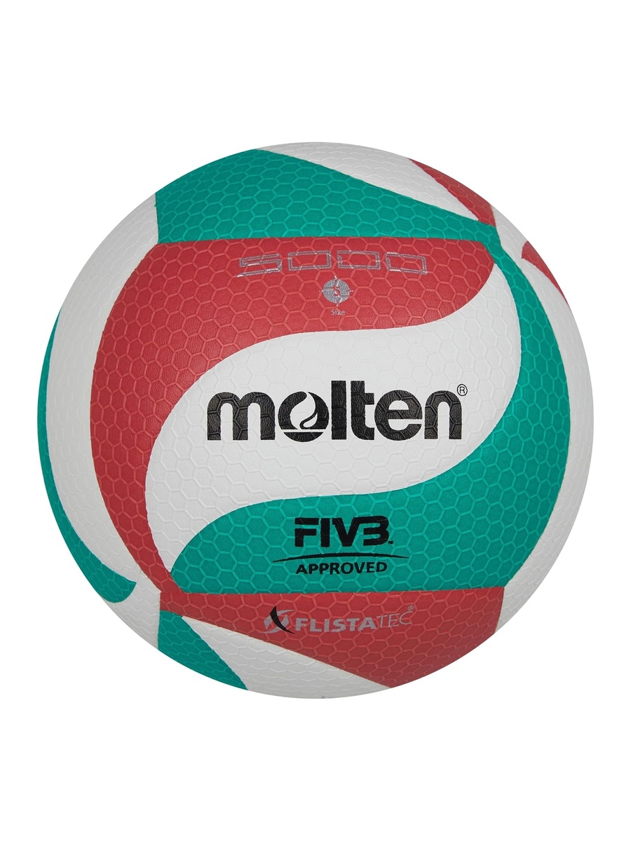 Syn. Leather Volleyball #5
