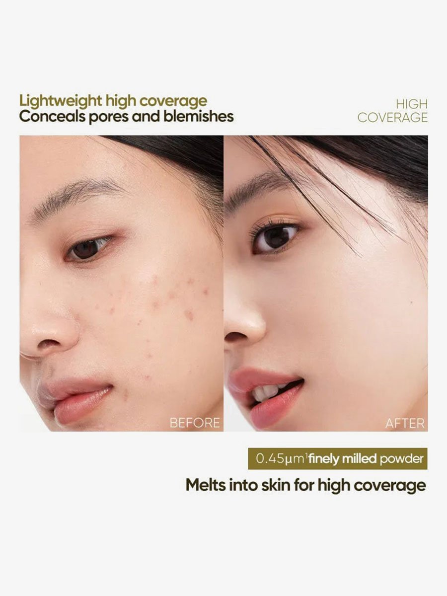 Dual Fermented Tea Cushion Foundation N20
