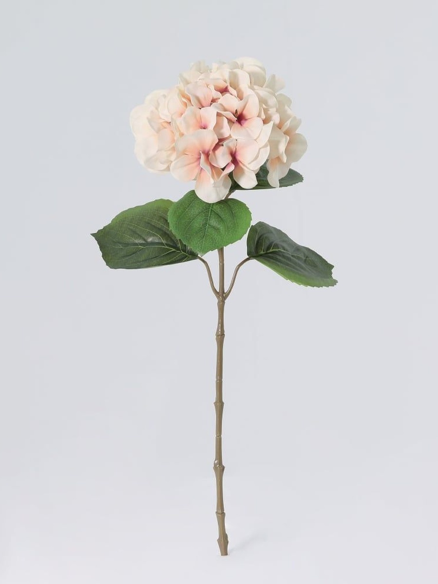 Fernza ydrangea Single Stem Pink 55 cm