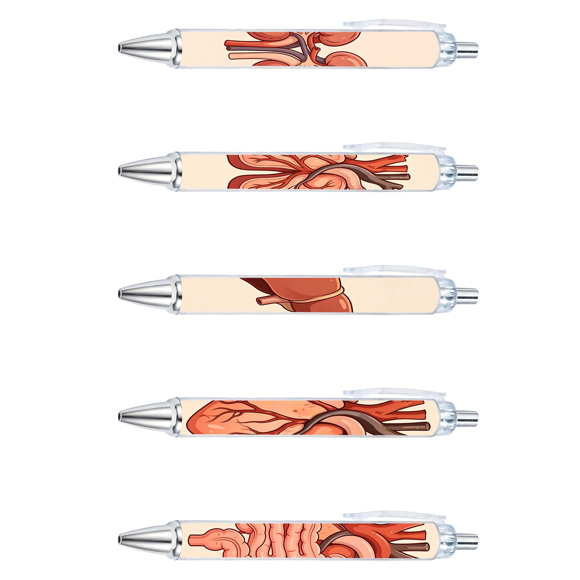 Anatomy Organ Retractable Ballpoint Pens