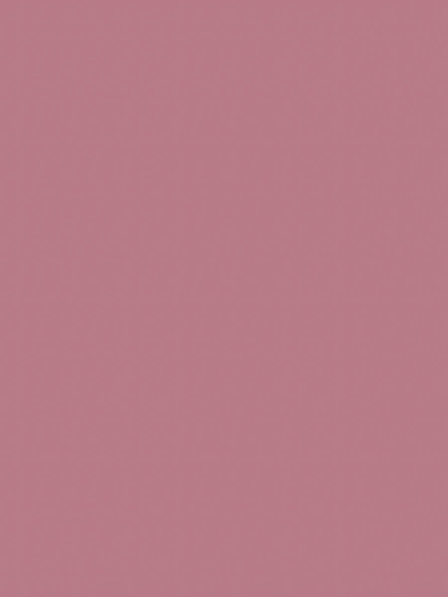 Lipstick Matte 443