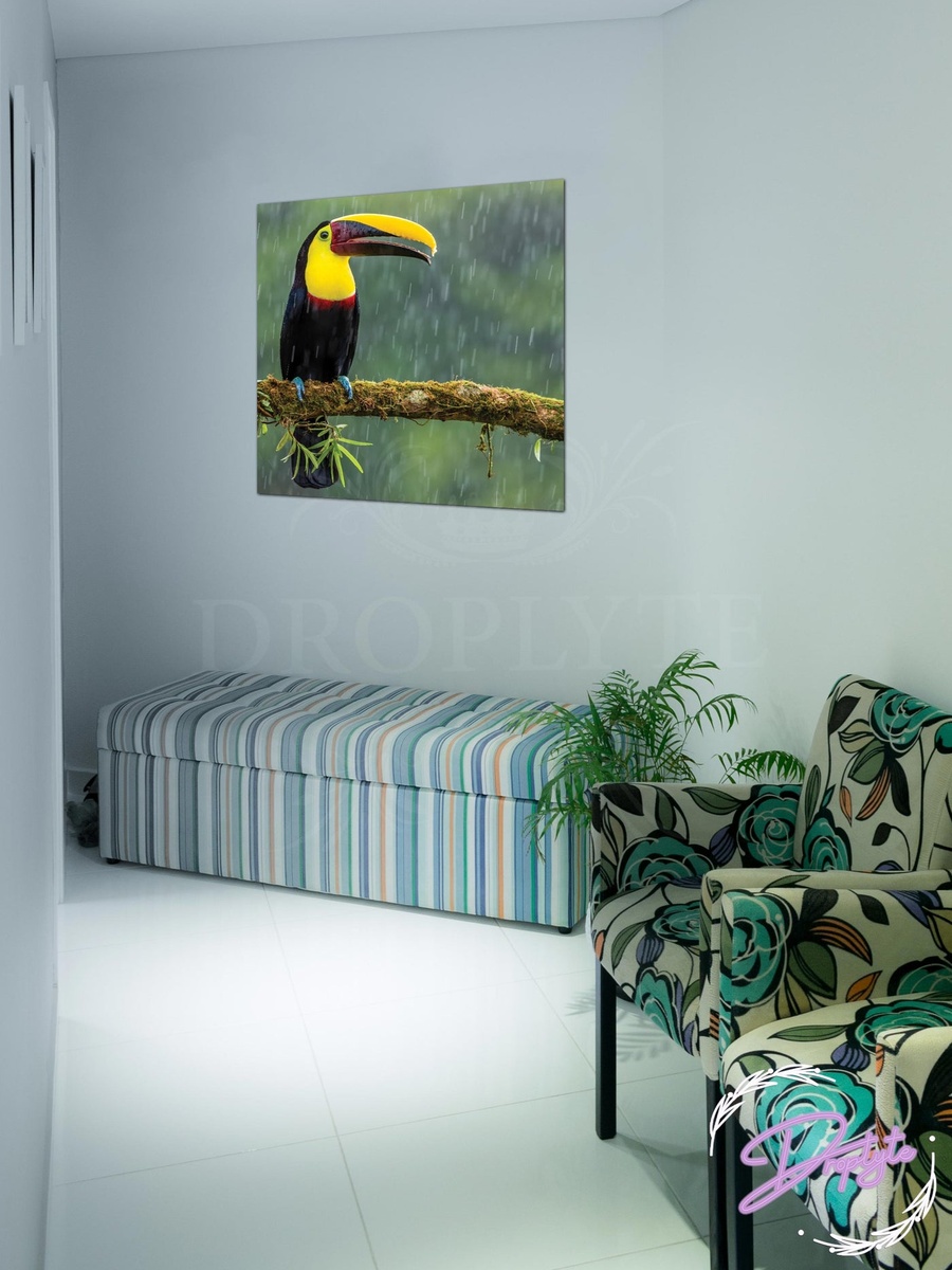 Green Aracari World Beautiful Bird Wall Art