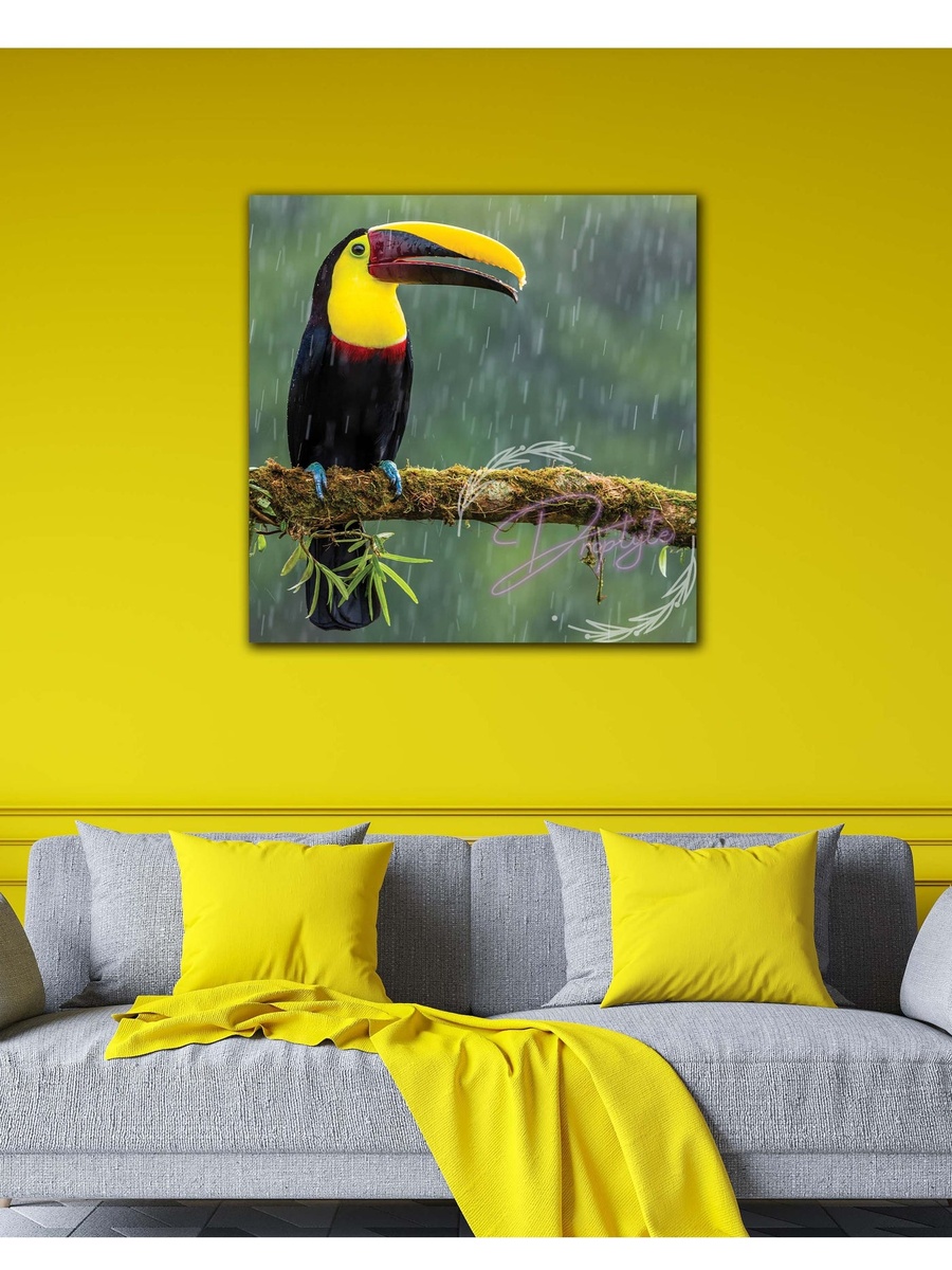 Green Aracari World Beautiful Bird Wall Art
