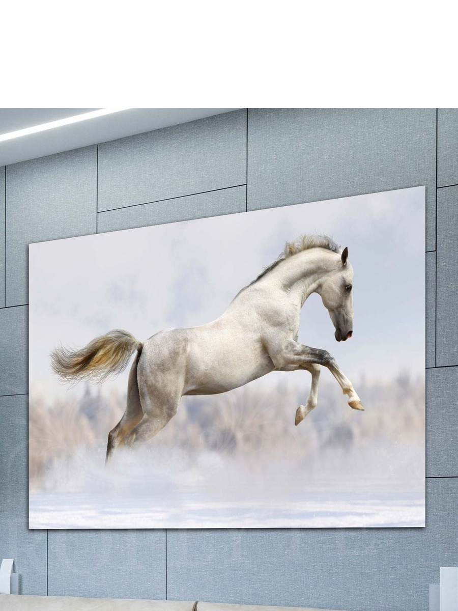 Beautiful White Running Horse Decorative Wall Art, 60cm x 40cm