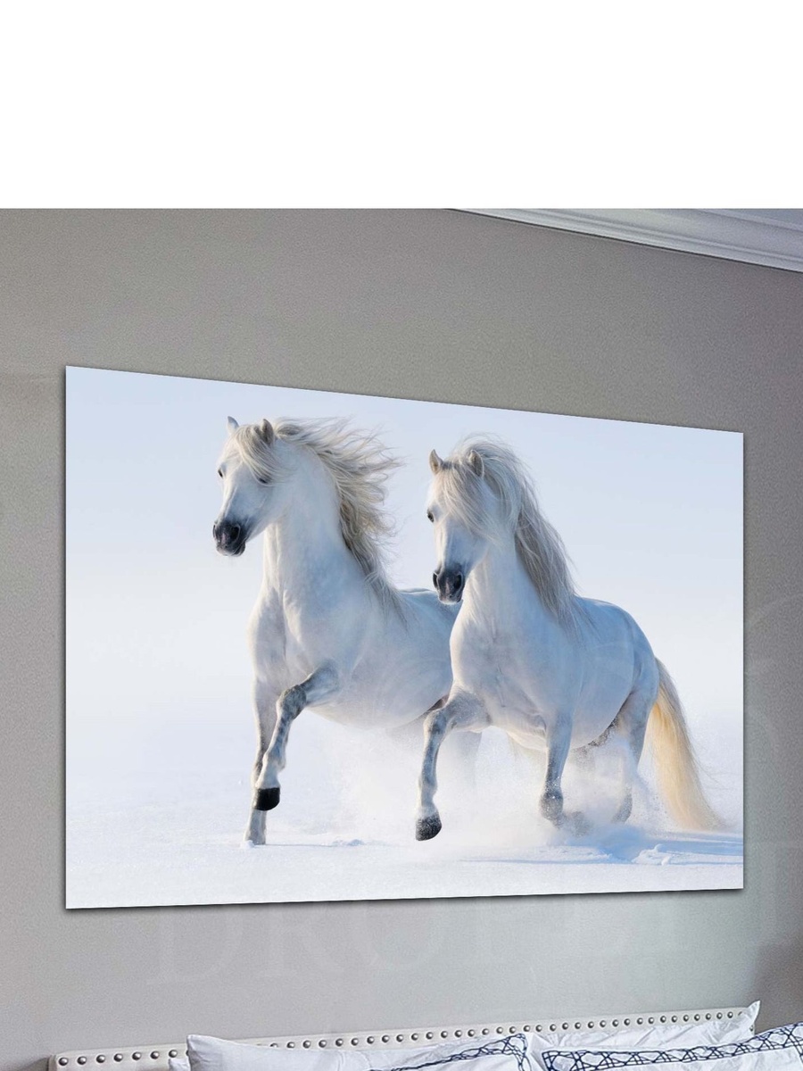 Beautiful 2 White Horses Decorative Wall Art, 60cm x 40cm