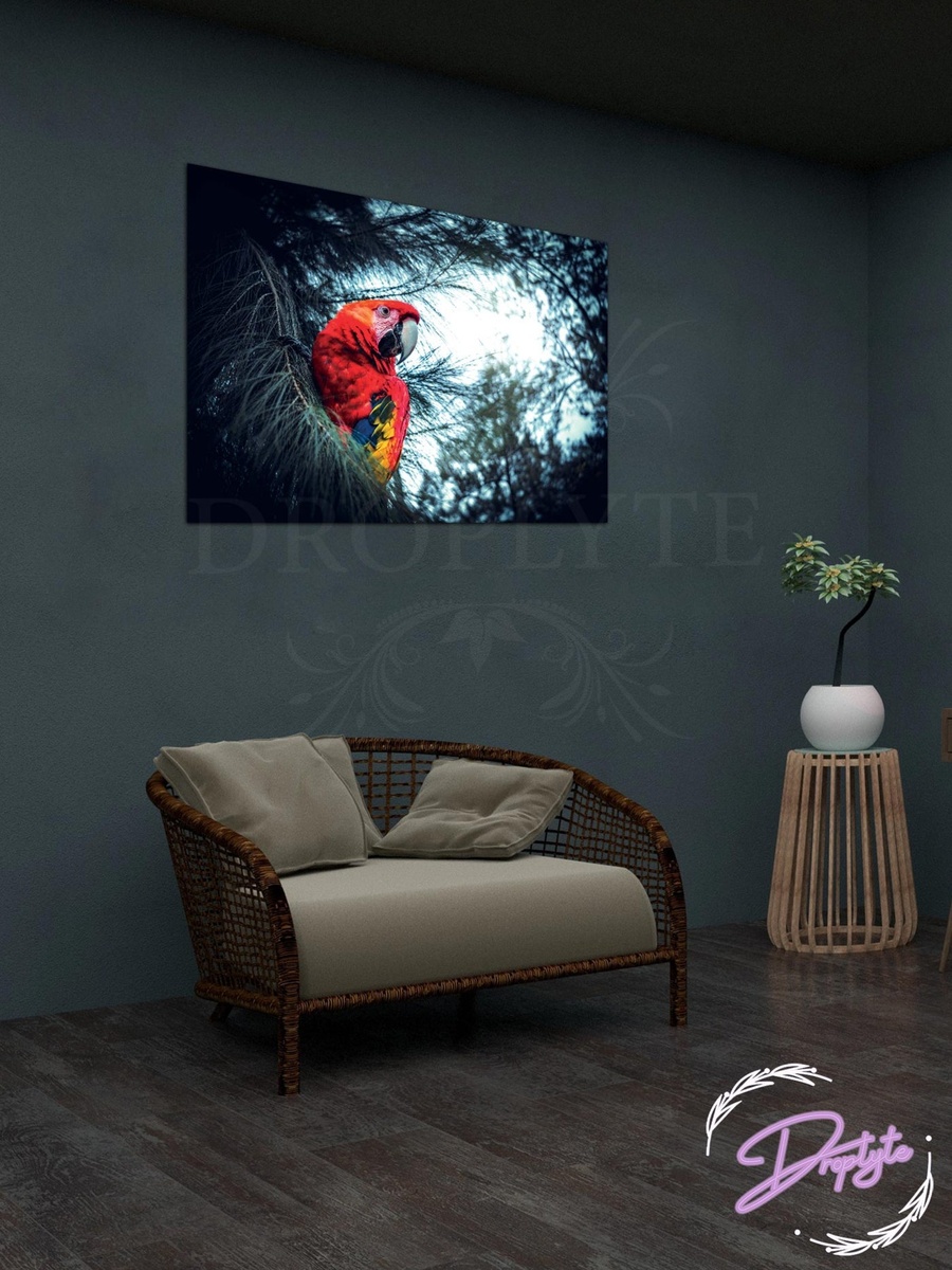 Beautiful Parrot Wall Art Canvas with Wooden Frame, 60cm x 40cm