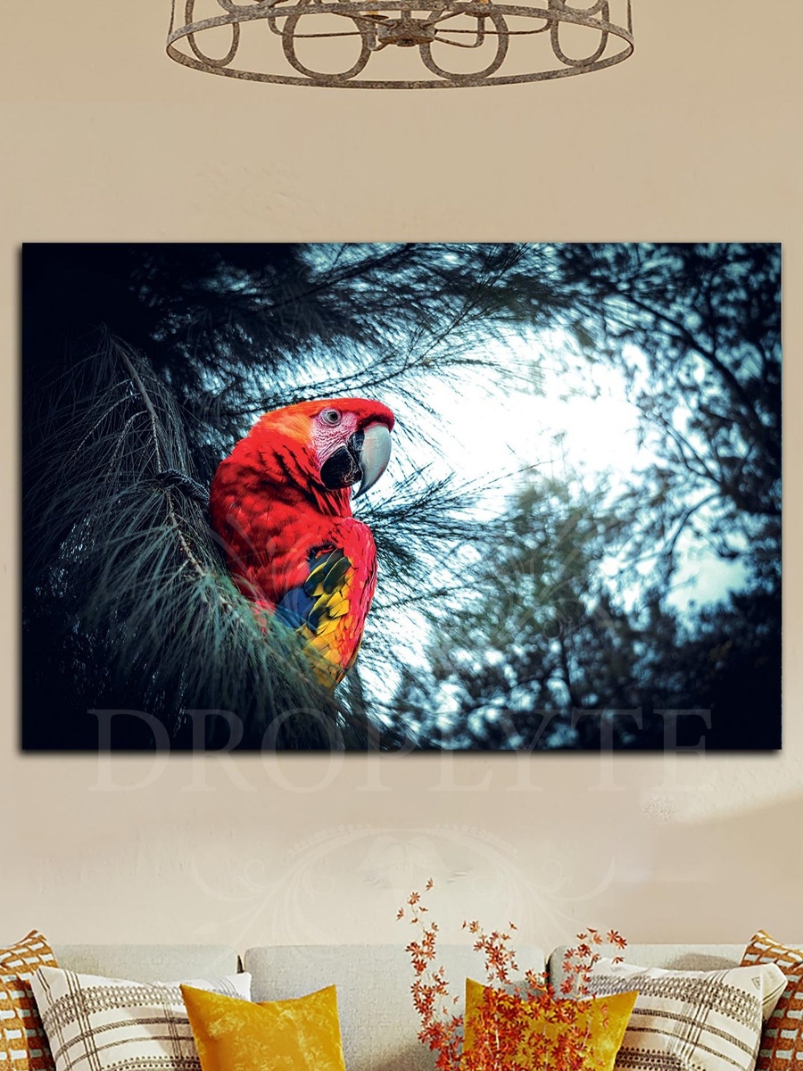 Beautiful Parrot Wall Art Canvas with Wooden Frame, 60cm x 40cm