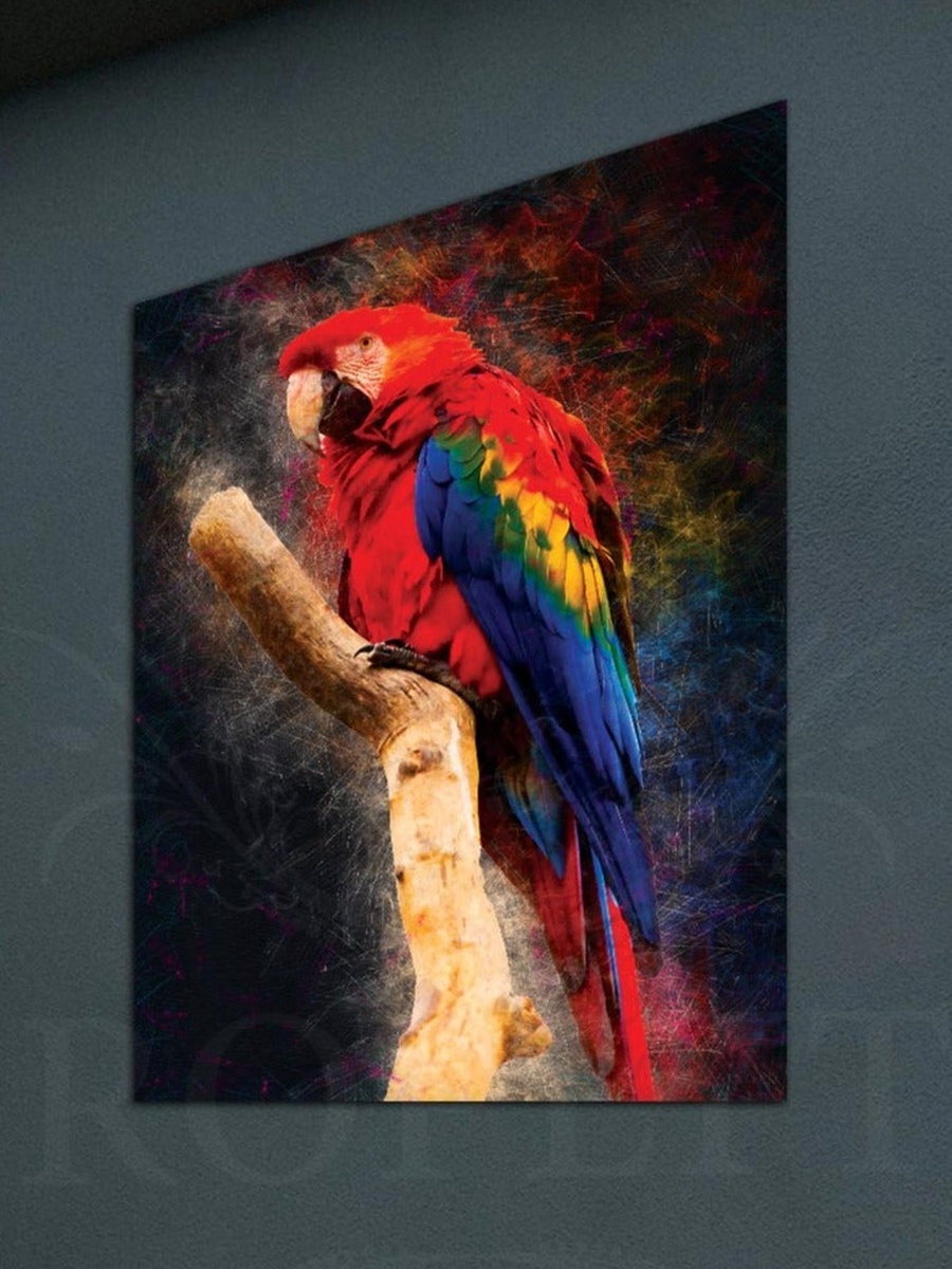 Beautiful Parrot Wall Art Canvas with Wooden Frame, 30cm x 40cm