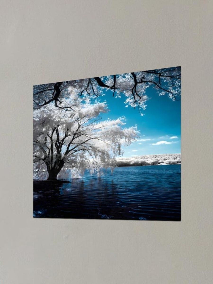 Multicolor Nature Photo Landscape Decorative Wall Art, 50cm x 50cm