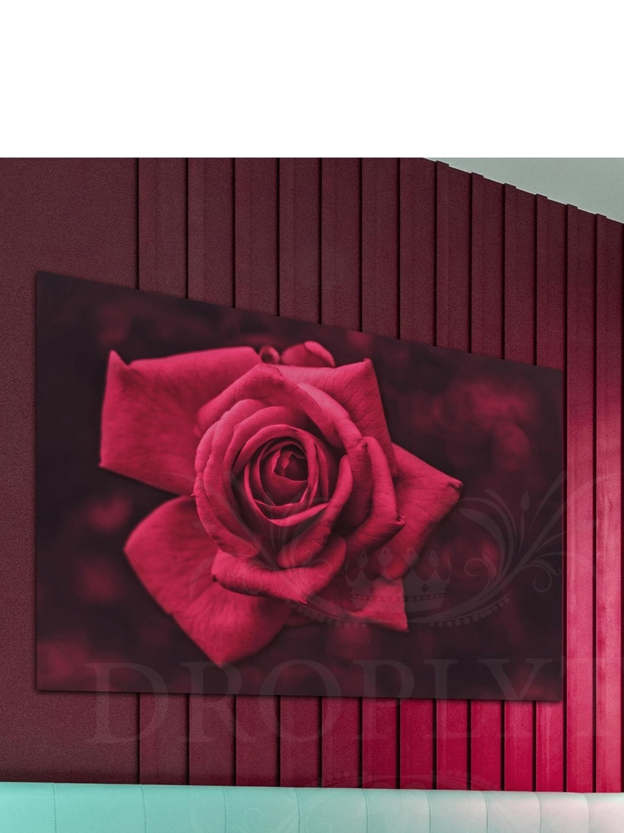 Red Rose in the Dark Decorative Wall Art, 40cm x 30cm