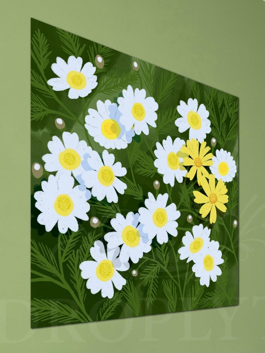 White and Yellow Flowers Vector Image Decorative Wall Art, 50cm x 50cm