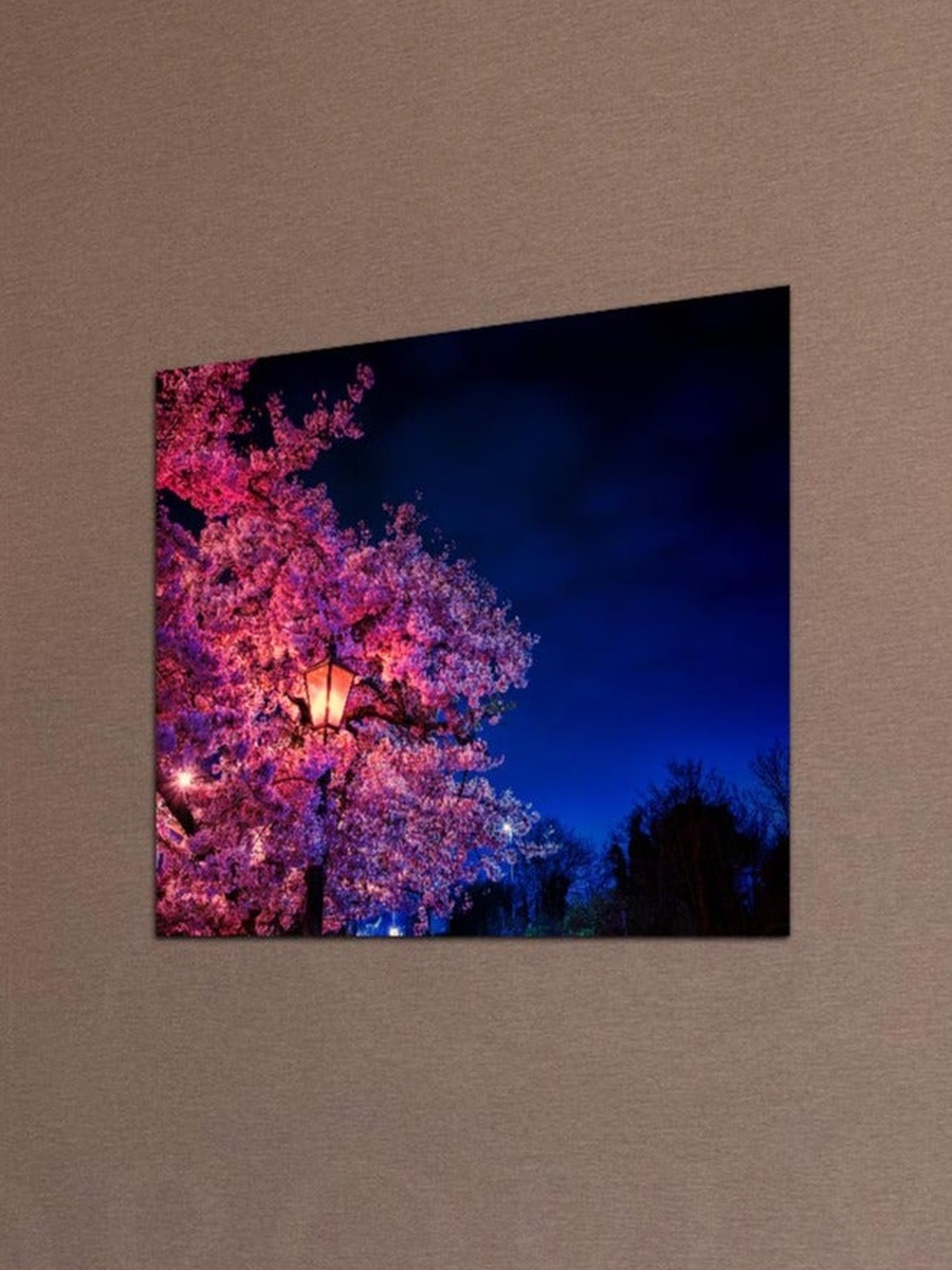 Framed Canvas Wall Art, 50cm x 50cm