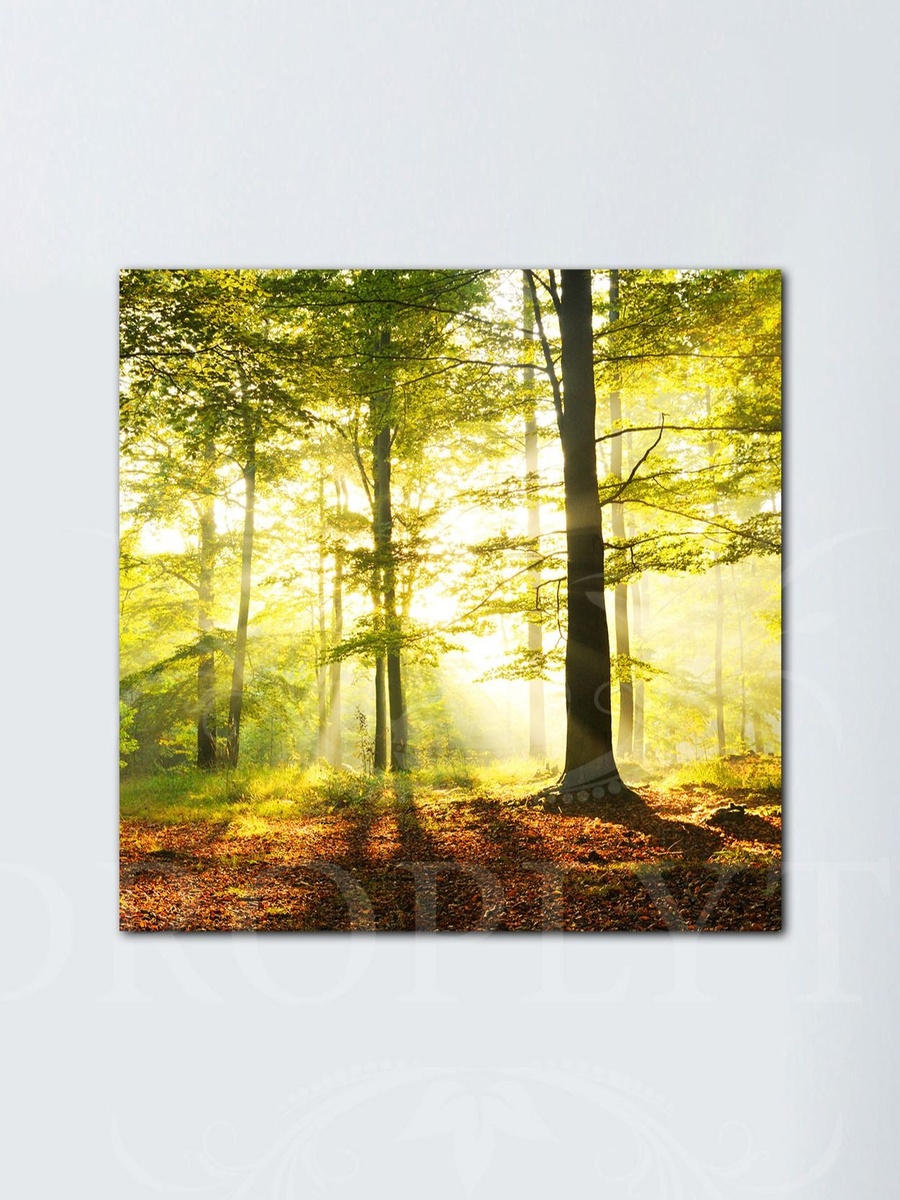 Jungle Trees at noon decorative Wall Art Canvas with Wooden Frame 30cm x 30cm