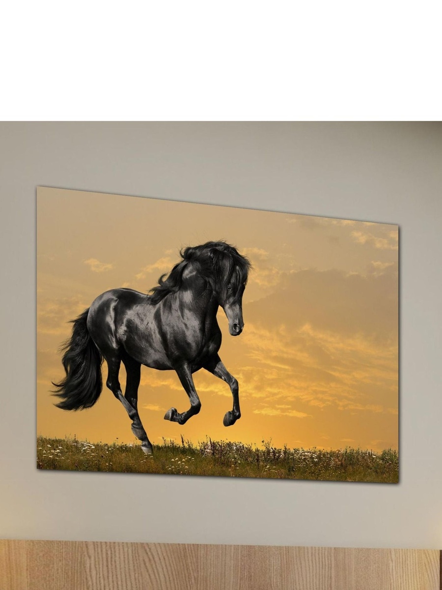 Beautiful Black Walking Horse Decorative Wall Art, 60cm x 40cm
