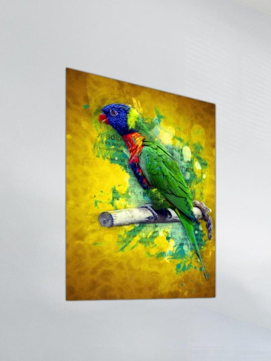 Multicolor Abstract Parrot Painting Decorative Wall Art, 40cm x 60cm