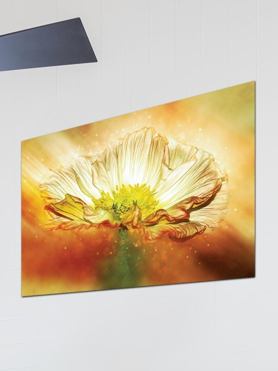 Beautiful Flower Painting Wall Art Canvas with Wooden Frame, 60cm x 40cm