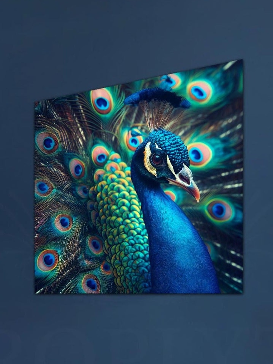 Peacock Animal Canvas Wall Art, 50cm x 50cm