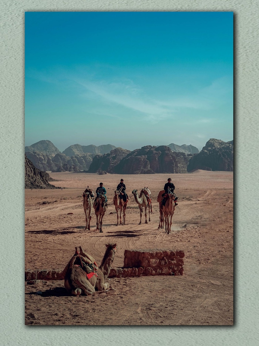 Beautiful Desert Wall Art