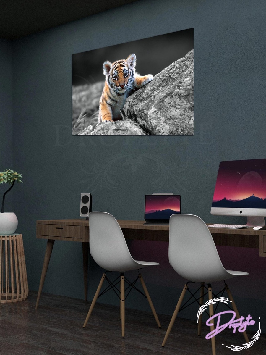 Beautiful Tiger Wall Art Canvas with Wooden Frame, 40cm x 30cm
