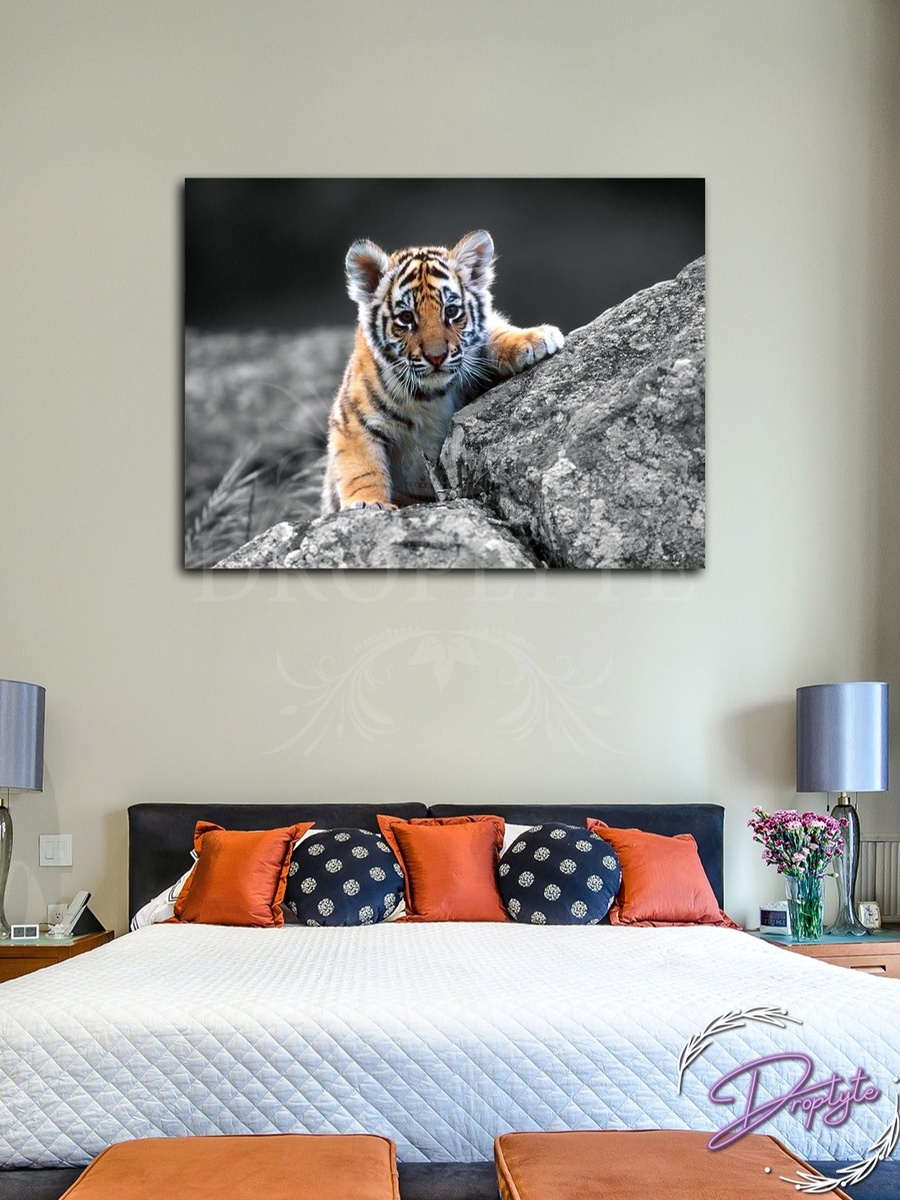 Beautiful Tiger Wall Art Canvas with Wooden Frame, 40cm x 30cm